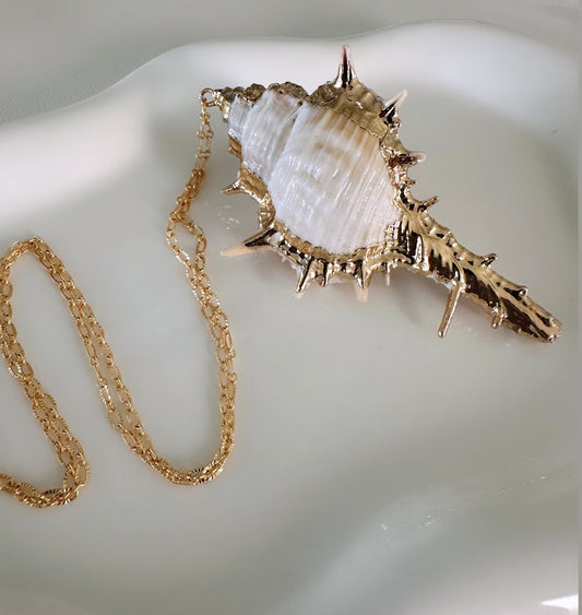 Seashell Maxi Necklace